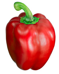 Yolo wonder sweet bell pepper, red
