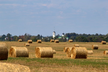 Sheafs in the summer field