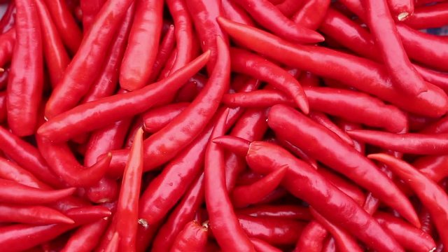 red chili rotate