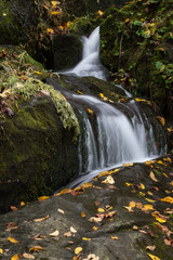 Small waterfall winds its way through rock formations covered in yellow fall leaves, vertical aspect