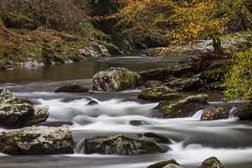 Stream winding through an autumn landscape, fall leaves, horizontal aspect