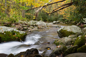 Swift water from a mountain stream flowing around moss covered boulders in autumn, fall leaves, horizontal aspect