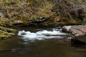 Woodland stream with small rapids, autumn leaves and moss covered rocks, Great Smoky Mountains, horizontal aspect