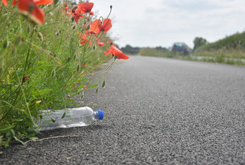 Discarded plastic bottle lying at path side amongst poppy flowers as car speeds by