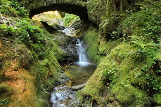 EdelfrauengrabWasserfall Bilder Durchsuchen 55 Archivfotos