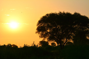 sun rising view near village