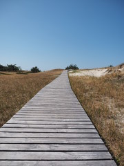 Fototapeta premium Dünenweg