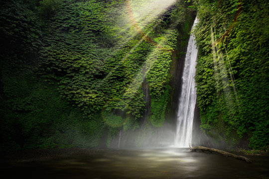 Waterfall hidden in the tropical jungle. Munduk, Bali, Indonesia