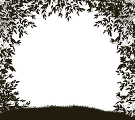 Obraz premium Way from the forest, shadows, forest