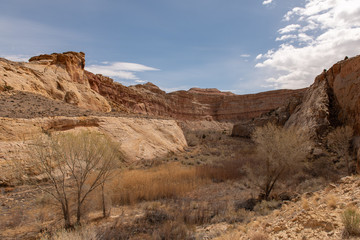Capitol Reef National Park
