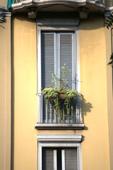 Fototapeta na wymiar facade,building,old,window,external,house,wall,balcony,front