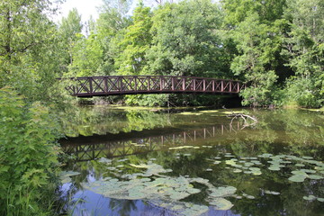 Fototapeta na wymiar A footbridge in the park