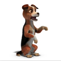 Surprised the dog is pointing