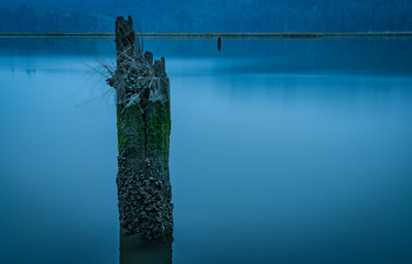 Oyster Bay Dock Remains