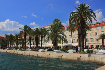 Obraz premium Split (Croatia) - a palm-lined boulevard in the port of the Adriatic.