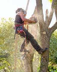 Tree Surgeon covered with Sawdust