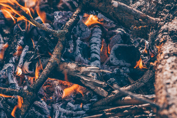 Burning sticks and branches
