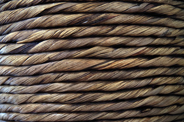 Braided Wood