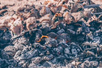 Meat on skewers fried at the stake, camp kitchen