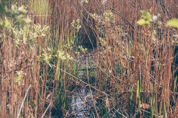 Wetlands, impassable places