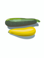 Zucchini