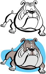 A tough looking bulldog guarding his home.