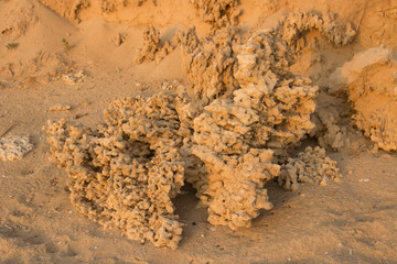 Interesting structures created by the wind from the sand on the Mediterranean coast