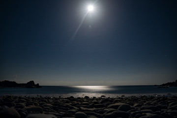 Yakushima Under The Moonlight