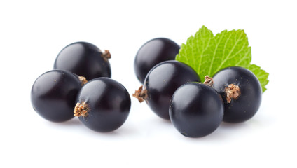 Currant in closeup