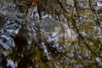 Reflection in the pool