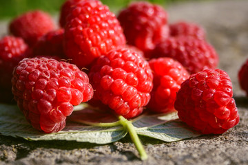 Fresh ripe raspberries (Rubus idaeus fruits), top view