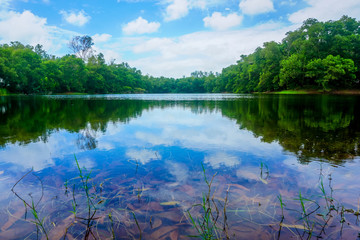 Fototapeta na wymiar Clear Blue sky river reflection landscape