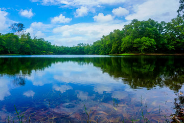 Clear Blue sky river reflection landscape