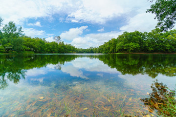 Clear Blue sky river reflection landscape