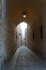 Fototapeta premium dim pathway