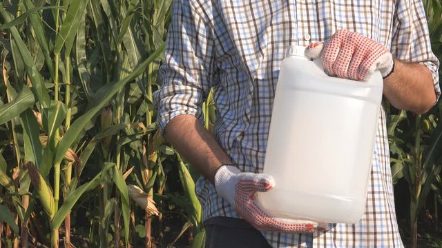Farmer holding pesticide chemical jug in cornfield. Blank unlabelled bottle as mock up copy space for herbicide, fungicide or insecticide used in corn crop farming.
