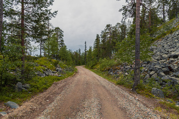Empty road in the middle of forest in Luosto Lapland Finland