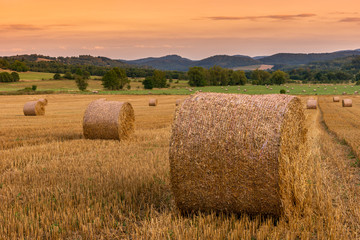 Landscape of straw bales