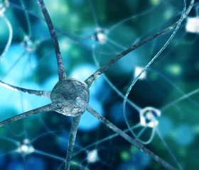 Neuron. Neural network. Nervous system. 
