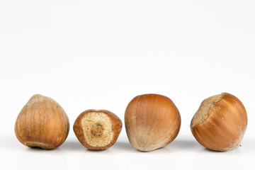 Hazelnuts in shell on a kitchen table. Hazel fruit as an addition to kitchen dishes.