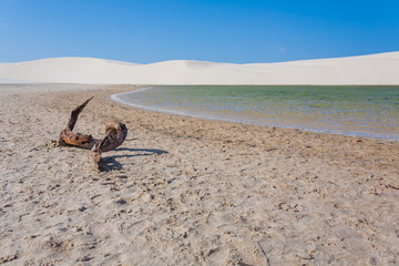 White sand dunes panorama from Lencois Maranhenses National Park, Brazil.
