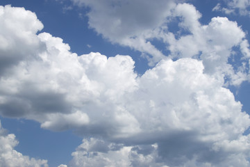 Naklejka na ściany i meble white clouds stretch all over the blue sky