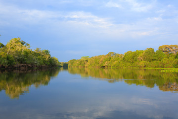 Panorama from Pantanal, Brazilian wetland region.