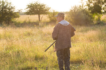 Hunter with a German trotter and spaniel, hunting a pheasant with dogs
