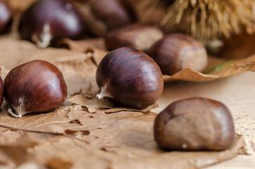 chestnut and autumn feeling, one chestnuts separate from the other over autumn leaves