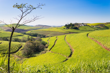 A view of the Valley of a Thousand hills near Durban, South Africa