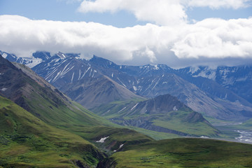 Obraz premium Denali National Park Green Transit Bus Tour 