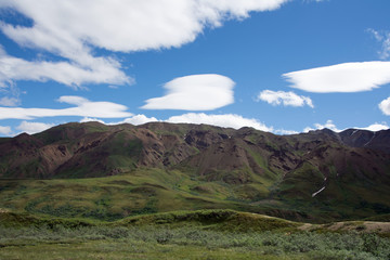 Denali National Park Green Transit Bus Tour 