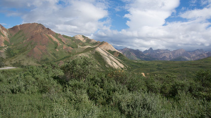 Denali National Park Green Transit Bus Tour 