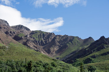 Denali National Park Green Transit Bus Tour 